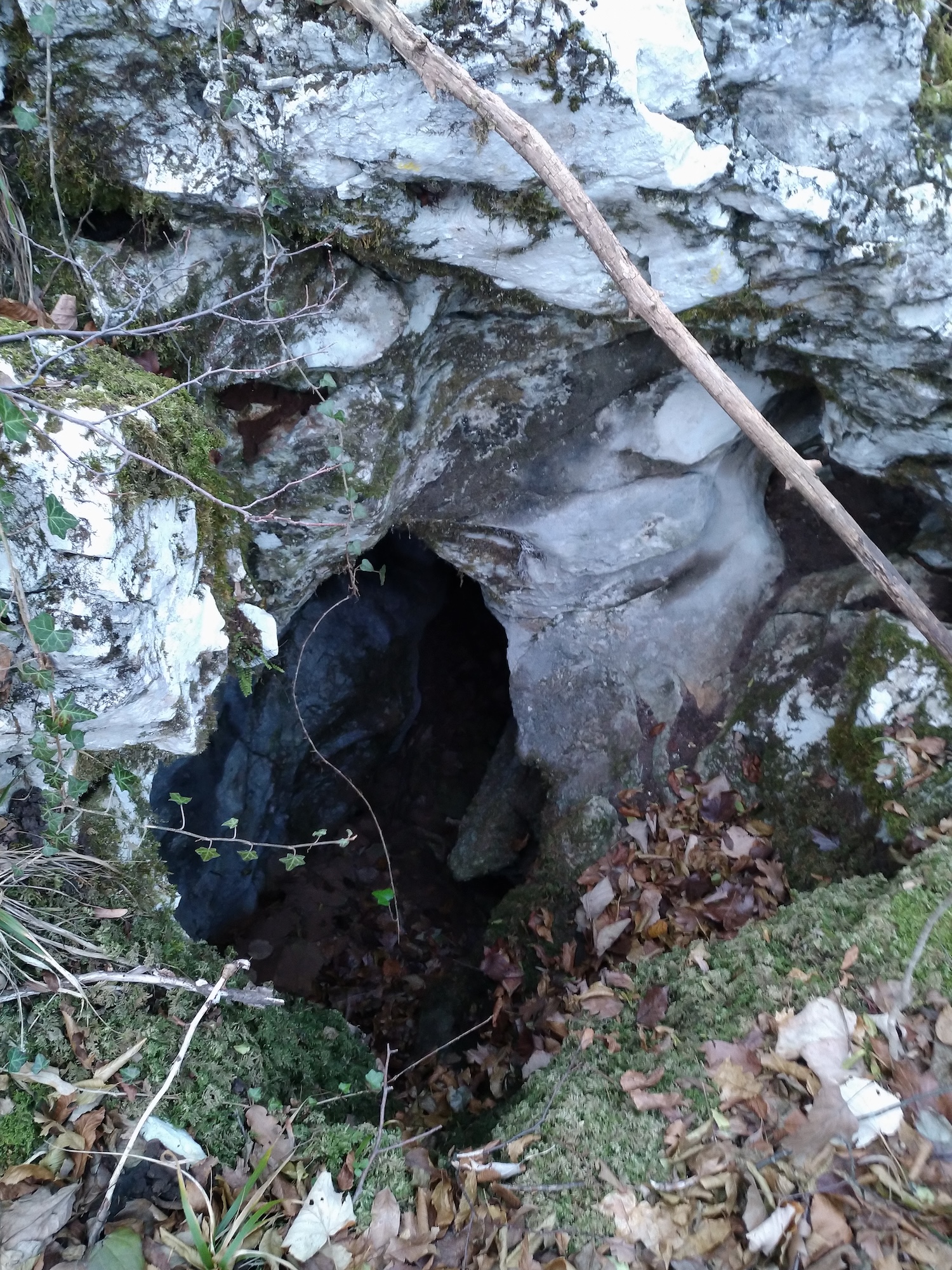 Avenul cu Doua Intrari - Image 1